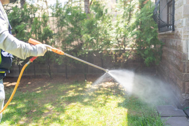 Best Wasp Removal Services  in Saint John Fisher College, NY