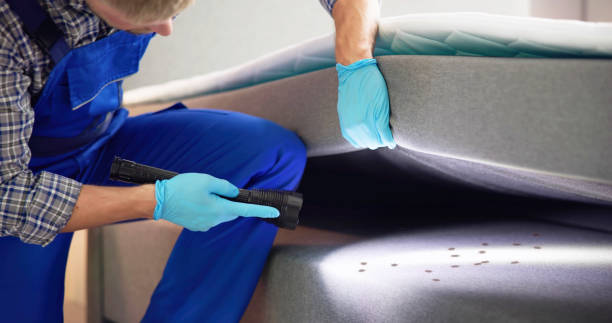 Best Bed Bug Extermination  in Saint John Fisher College, NY